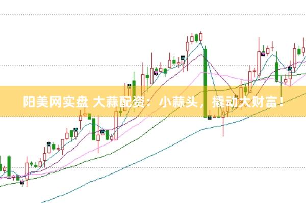 阳美网实盘 大蒜配资：小蒜头，撬动大财富！