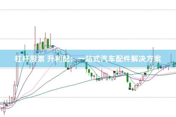 杠杆股票 升利配：一站式汽车配件解决方案