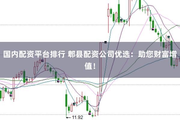 国内配资平台排行 郫县配资公司优选：助您财富增值！