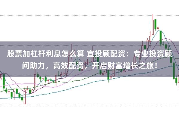 股票加杠杆利息怎么算 宜投顾配资：专业投资顾问助力，高效配资，开启财富增长之旅！