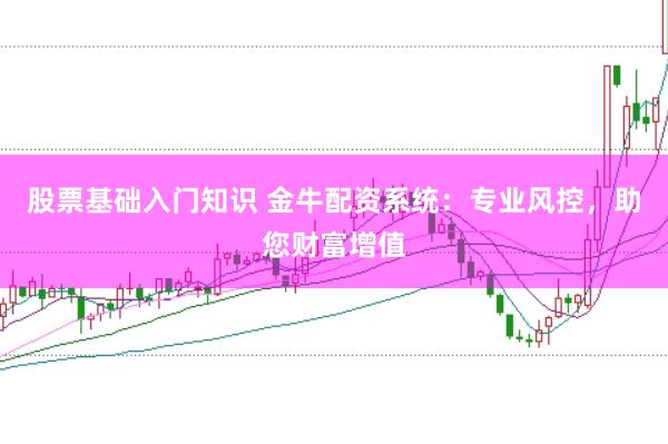 股票基础入门知识 金牛配资系统：专业风控，助您财富增值