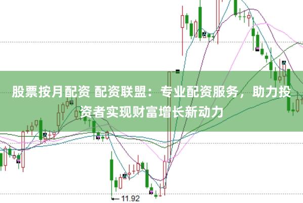 股票按月配资 配资联盟：专业配资服务，助力投资者实现财富增长新动力