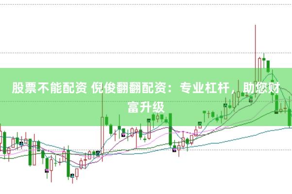 股票不能配资 倪俊翻翻配资：专业杠杆，助您财富升级
