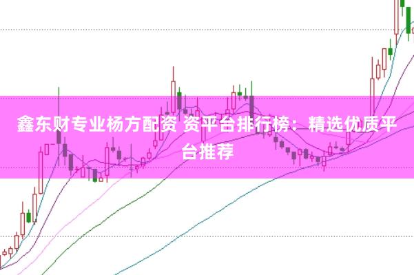 鑫东财专业杨方配资 资平台排行榜：精选优质平台推荐