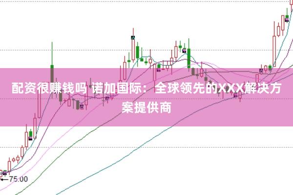配资很赚钱吗 诺加国际：全球领先的XXX解决方案提供商