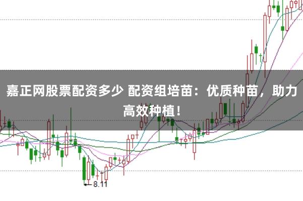 嘉正网股票配资多少 配资组培苗：优质种苗，助力高效种植！