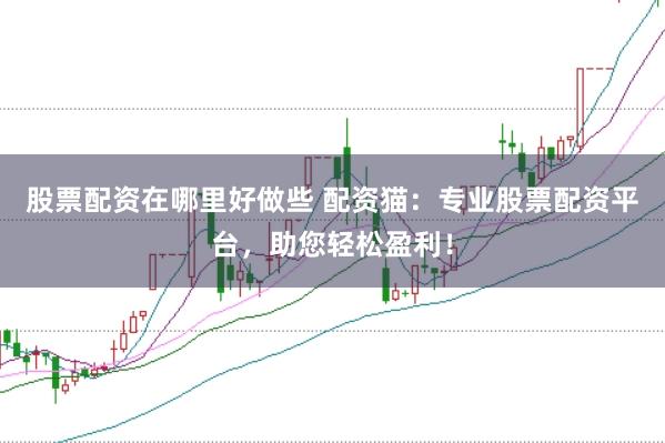 股票配资在哪里好做些 配资猫：专业股票配资平台，助您轻松盈利！