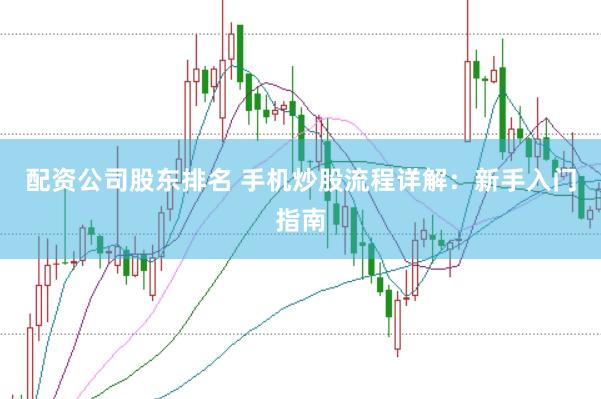 配资公司股东排名 手机炒股流程详解：新手入门指南