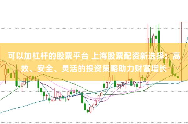 可以加杠杆的股票平台 上海股票配资新选择：高效、安全、灵活的投资策略助力财富增长
