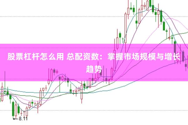 股票杠杆怎么用 总配资数：掌握市场规模与增长趋势