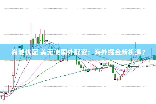 尚城优配 美元债国外配资：海外掘金新机遇？