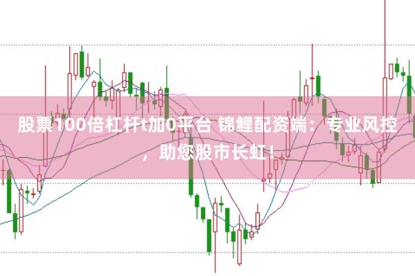 股票100倍杠杆t加0平台 锦鲤配资端：专业风控，助您股市长虹！