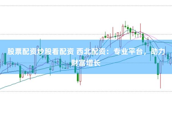 股票配资炒股看配资 西北配资:专业平台,助力财富增长