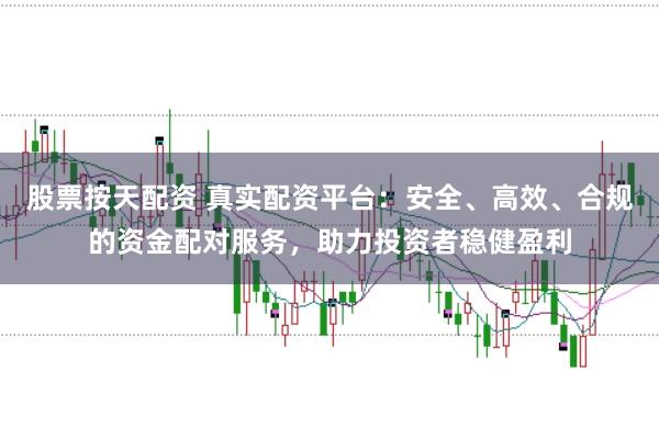 股票按天配资 真实配资平台:安全、高效、合规的资金配对服务,助力投资者稳健盈利