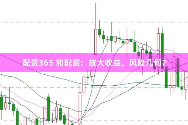 配资365 和配资:放大收益,风险几何?