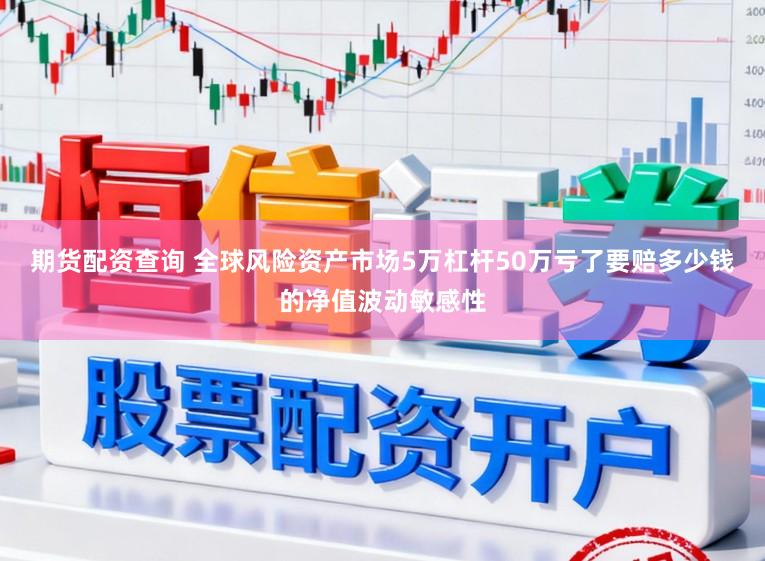 期货配资查询 全球风险资产市场5万杠杆50万亏了要赔多少钱的净值波动敏感性
