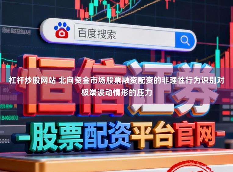 杠杆炒股网站 北向资金市场股票融资配资的非理性行为识别对极端波动情形的压力