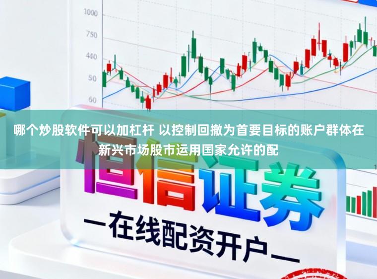 哪个炒股软件可以加杠杆 以控制回撤为首要目标的账户群体在新兴市场股市运用国家允许的配